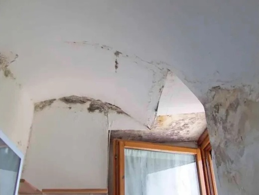 Jak vymalovat interiér napadený plísní?