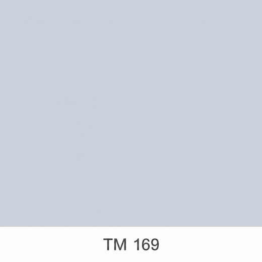 169.png