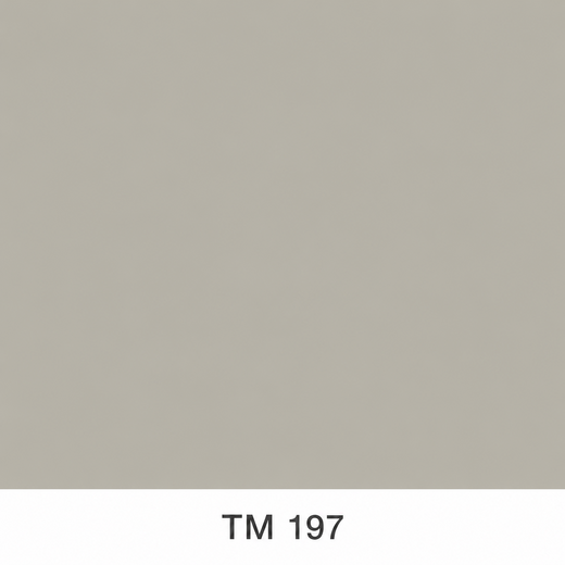 197.png