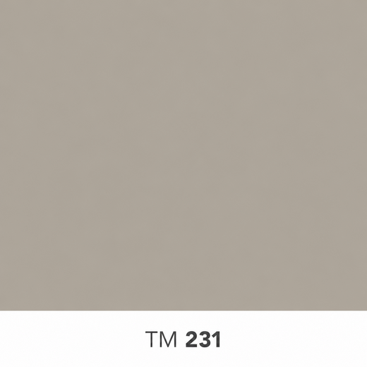 231.png