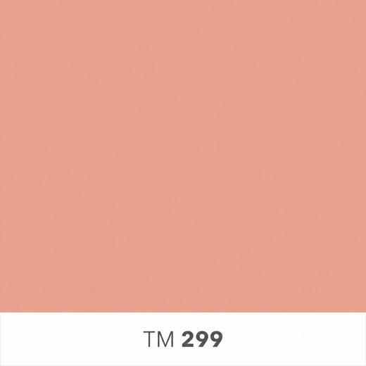 299.png