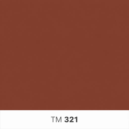 321.png