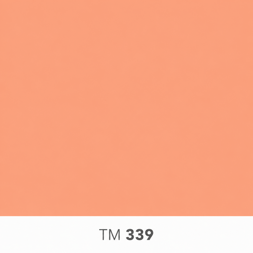 339.png