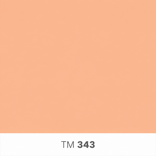 343.png