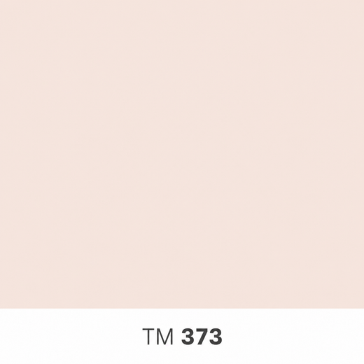 373.png