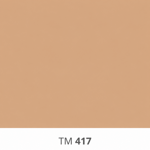 417.png