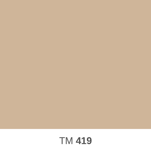 419.png