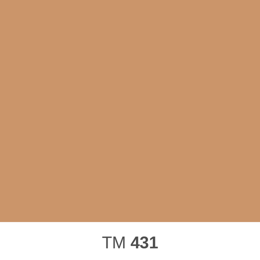 431.png