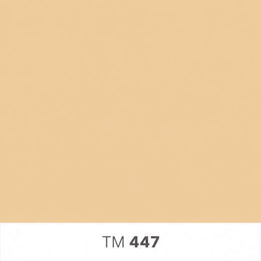 447.png
