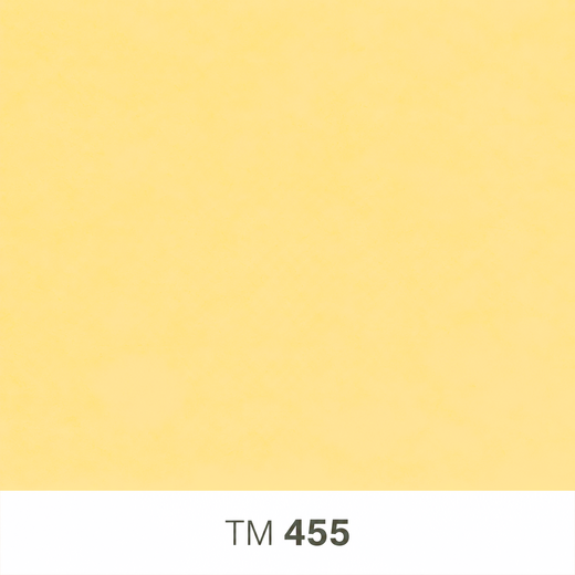 455.png