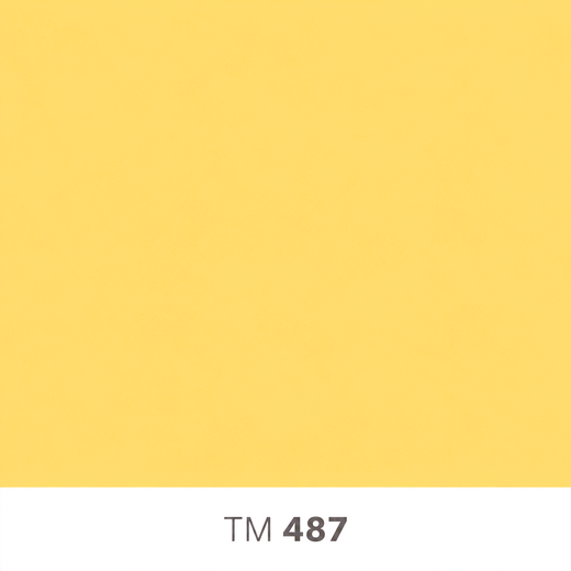 487.png