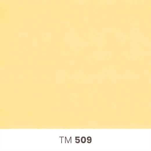 509.png