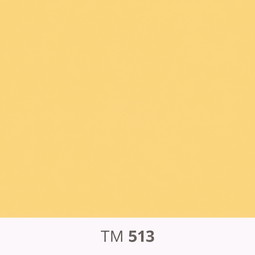 513.png