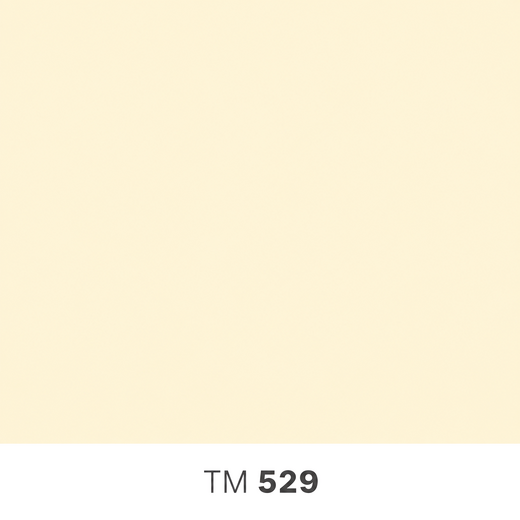 529.png