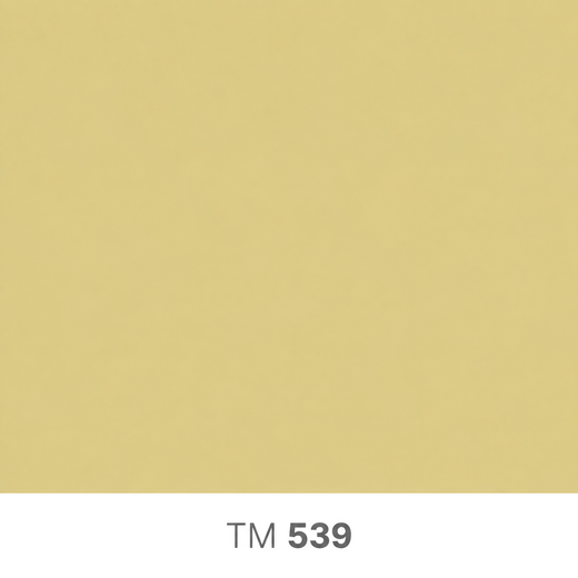 539.png