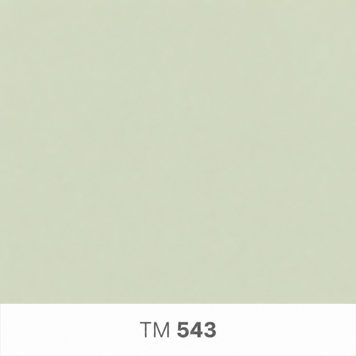 543.png