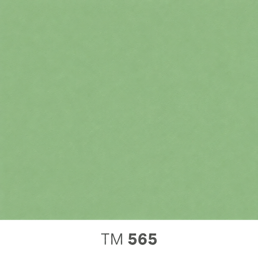 565.png