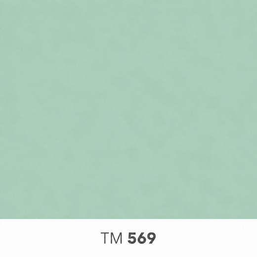 569.png