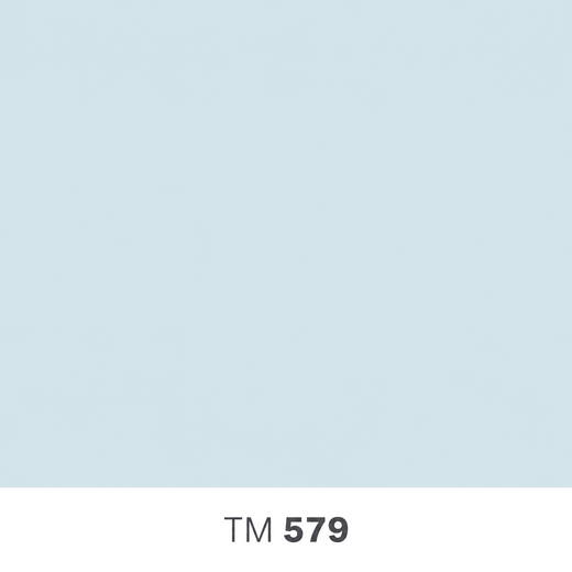 579.png
