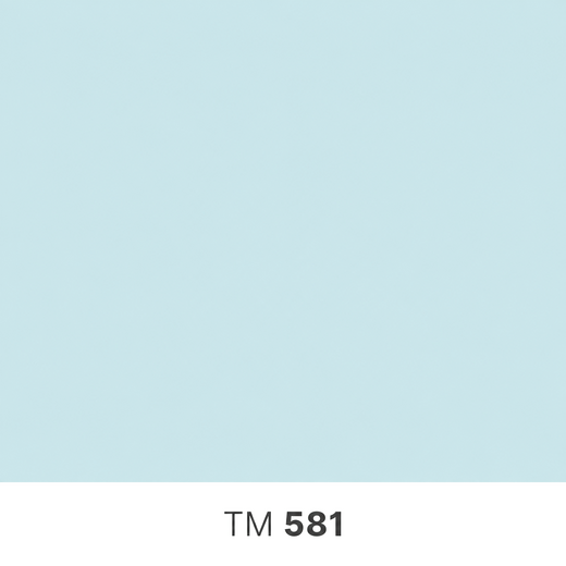 581.png